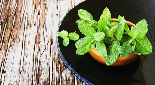 Fresh mint in a wooden bowl, selective focus — Stock Photo, Image