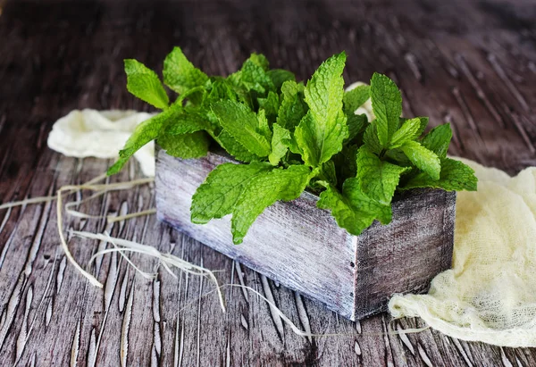 Fresh lemon balm or mint in a small wooden box — Stock Photo, Image