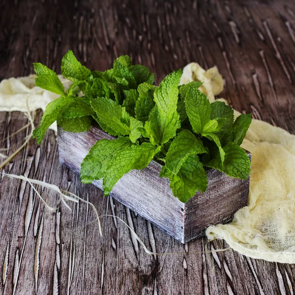 Fresh lemon balm or mint in a small wooden box — Stock Photo, Image