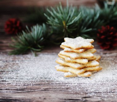 Noel ve yeni yıl gingerbread çerezleri mezarda