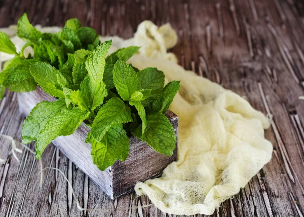 Fresh lemon balm or mint in a small wooden box — Stock Photo, Image