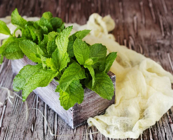 Fresh lemon balm or mint in a small wooden box — Stock Photo, Image