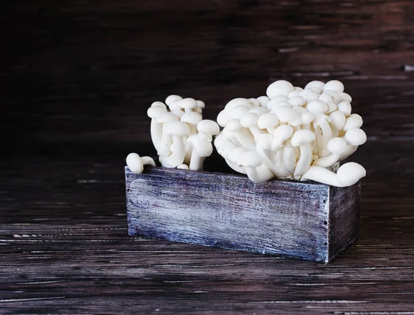 Cogumelos chineses brancos em um fundo de madeira, foco seletivo — Fotografia de Stock