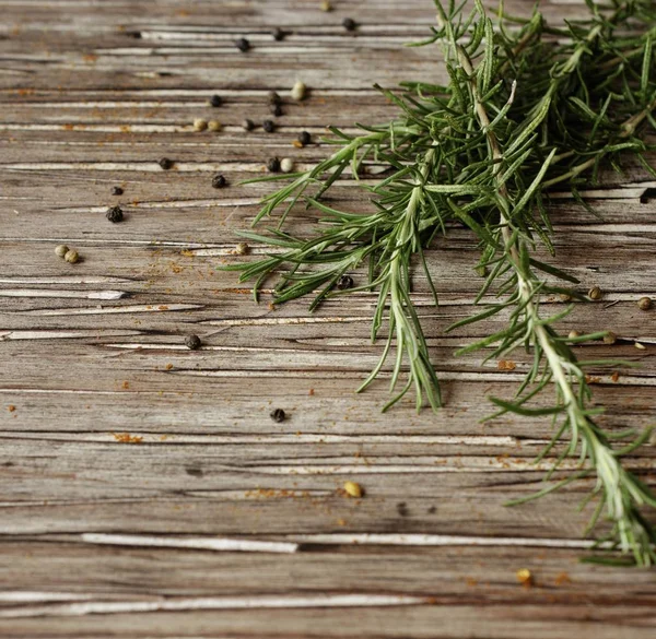 Sprigs of rosemary with multi-colored pepper, selective focus — Stock Photo, Image