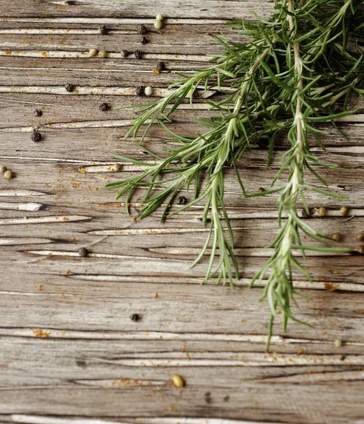 Sprigs of rosemary with multi-colored pepper, selective focus — Stock Photo, Image