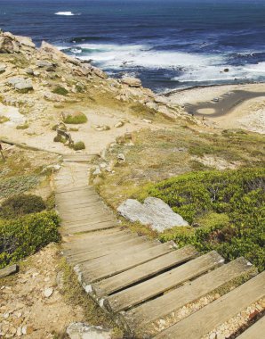 ahşap döşeme aşağı vahşi plaj mavi Atlantik sahil, Cape iyi umut, Güney Afrika, Cape Town, seyahat