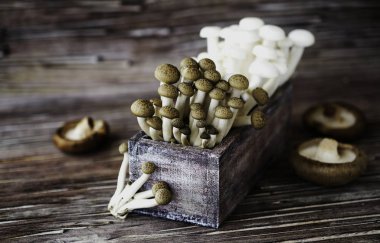 seçici odak, ahşap bir arka plan beyaz ve kahverengi Çince mantar