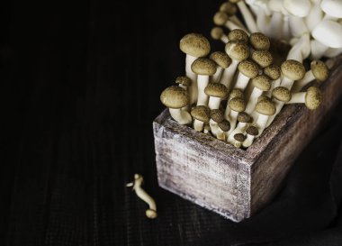 seçici odak, ahşap bir arka plan beyaz ve kahverengi Çince mantar