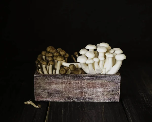 seçici odak, ahşap bir arka plan beyaz ve kahverengi Çince mantar