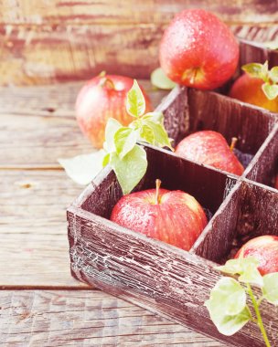 Ahşap kutusunda rustik bir tabloda, seçici odak olgun kırmızı elmalar