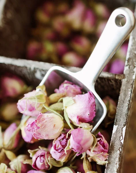 小干芽的玫瑰, 茶, karkade, 在木箱, 选择性重点 — 图库照片