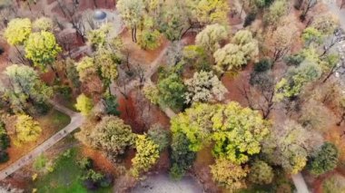 Sonbahar parkının üzerinde uçuyor. Lviv, Ukrayna 'da 4k drone kamerayla çekildi..