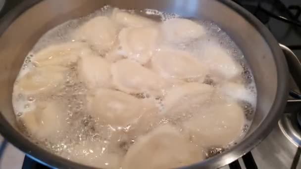 Dumplings Potato Being Cooked Boiling Water Steel Pan Vapor Coming — Stock Video