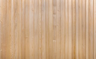 Detail of a light brown wooden wall of vertical boards with two rows screws in den central area  clipart