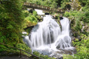 Güneşli yazda tahta köprüyle Triberg Şelalesi. Triberg 'de çekildi Kara Orman, Almanya.