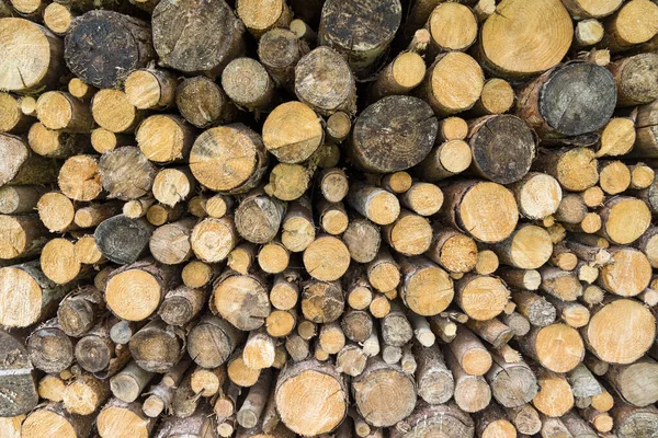 Holzstapel Aus Ästen Und Kleinen Runden Baumstämmen — Stockfoto