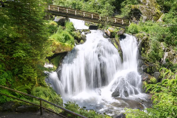 Güneşli yazda tahta köprüyle Triberg Şelalesi. Triberg 'de çekildi Kara Orman, Almanya.