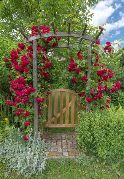 Porta Jardim Pequena Feita Madeira Com Arco Rosa Rosas Vermelhas — Fotografia de Stock