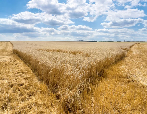 Punta Campo Trigo Parcialmente Cosechado Paisaje Amplio Rural Con Cielo — Foto de Stock