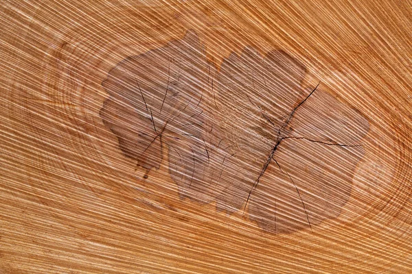 木の自然な抽象的な質感 クローズアップの木の幹のコア — ストック写真