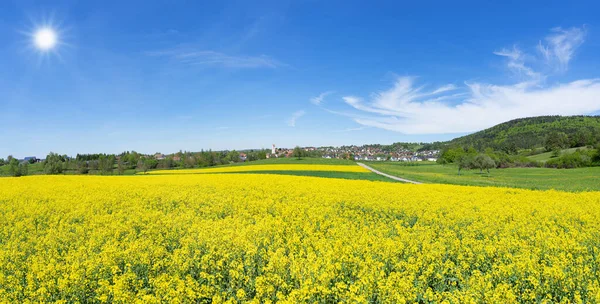 Blühendes Rapsfeld Sonniger Ländlicher Landschaft Mit Dorf Panorama — Stockfoto