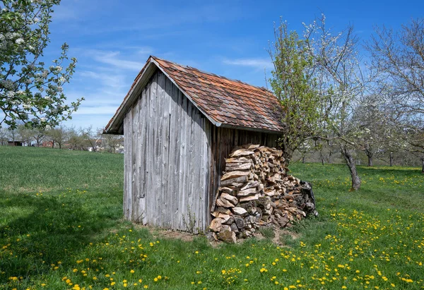 Small Wooden Hut Woodpile Flowering Meadow Springtime Orchard — Stock Photo, Image