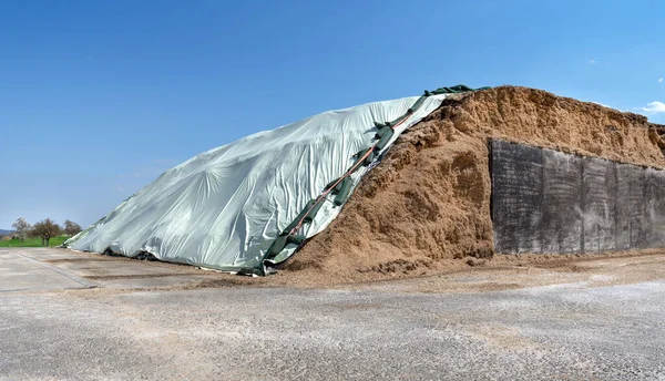 Grote Stapel Kuilvoer Bedekt Met Heldere Folie Voor Een Biogasplant — Stockfoto