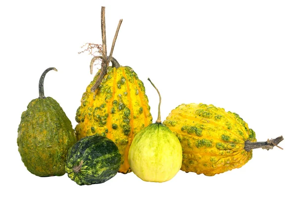 güzel balkabağı. Sebze