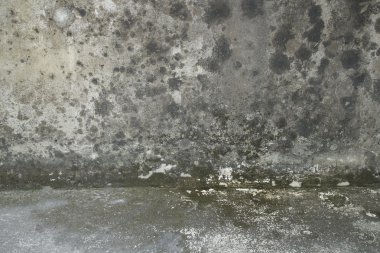 Eski beton duvar detay