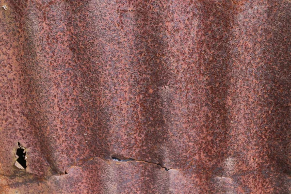 Ржавый лист — стоковое фото