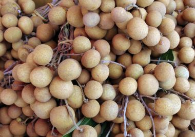 Longan tatlı meyve