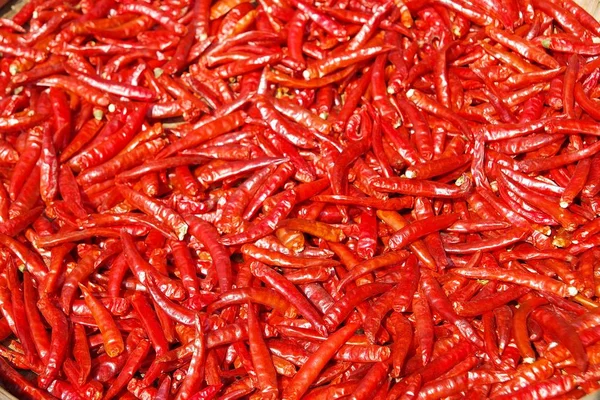 Chile seco para hacer comida — Foto de Stock