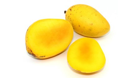 Tay sarı tatlı mango meyve