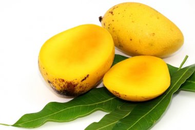 Tay sarı tatlı mango meyve