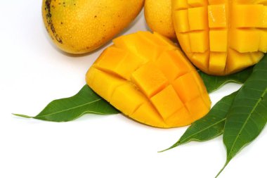 Tay sarı tatlı mango meyve