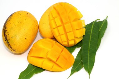 Tay sarı tatlı mango meyve