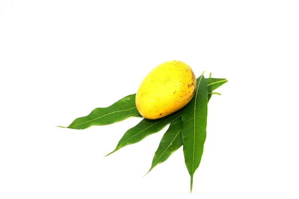Thai sárga édes mango gyümölcs — Stock Fotó