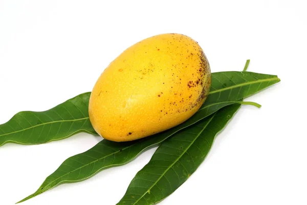 Thailändsk gul söt mango frukt — Stockfoto