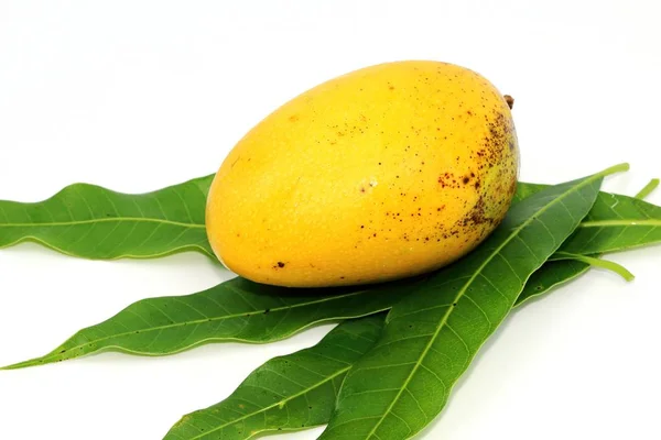 Thai sárga édes mango gyümölcs — Stock Fotó