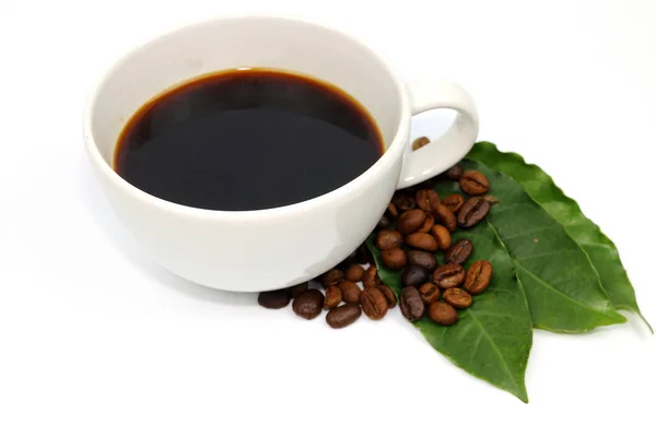 Svart kaffekopp og kaffefrø – stockfoto