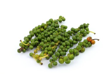 Sıcak baharat ve biber bitki