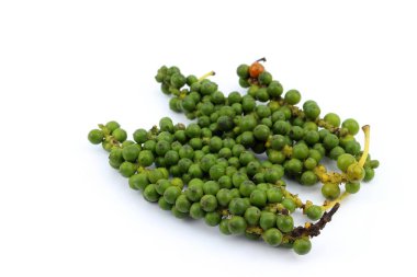 Sıcak baharat ve biber bitki