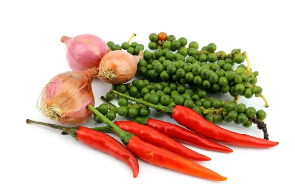 Hot Spices and pepper herb — Stock Photo, Image