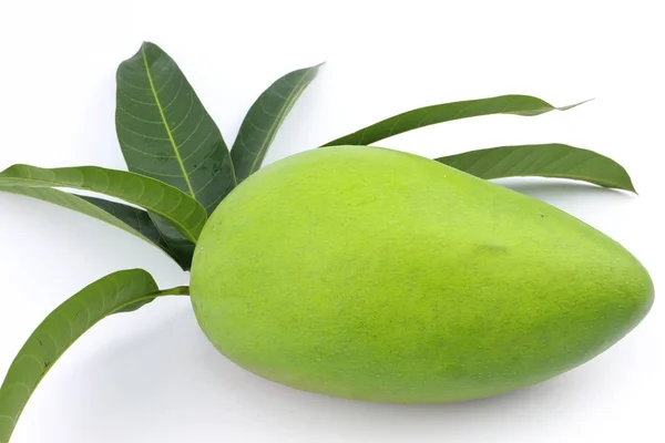 Surowe zielone mango — Zdjęcie stockowe