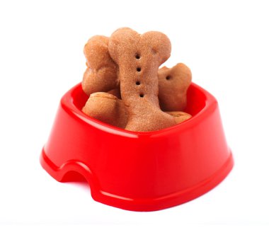 Köpek bisküvi kemikleri izole kırmızı plaka şeklinde 