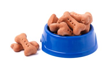 Köpek bisküvi kemikleri izole mavi plaka şeklinde
