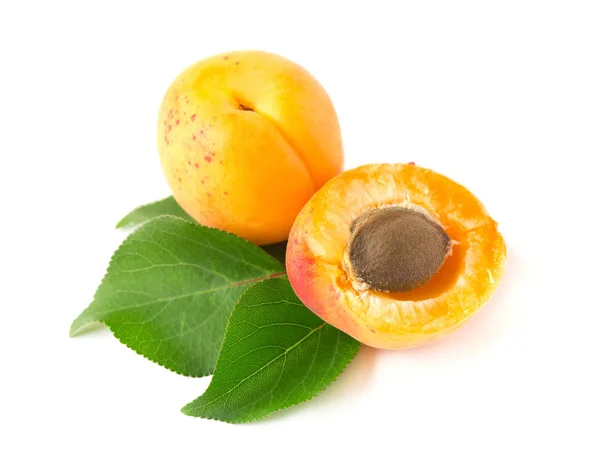 Ripe apricot with a stone and leaves, isolated — Stock Photo, Image