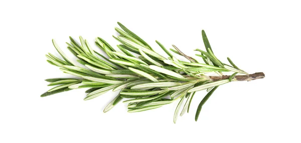 Rosemary isolated on white — Stock Photo, Image