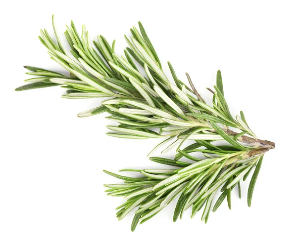 Rosemary isolated on white background — Stock Photo, Image