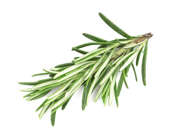 Fresh rosemary isolated — Stock Photo, Image